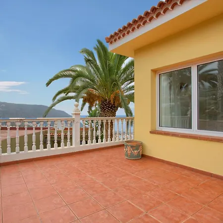 Hiding Place Mocan *