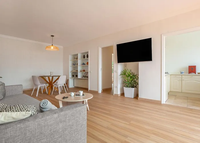 Hiding Place Mocan *