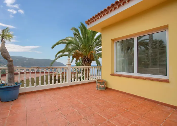 Hiding Place Mocan *